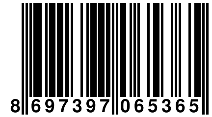 8 697397 065365