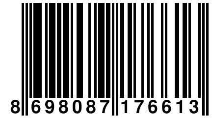 8 698087 176613