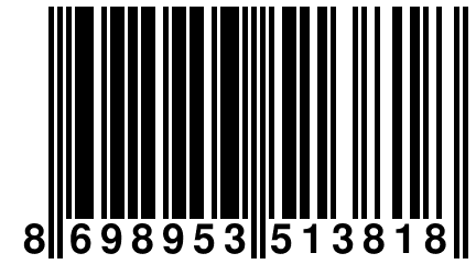 8 698953 513818