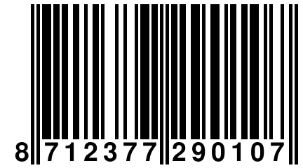 8 712377 290107