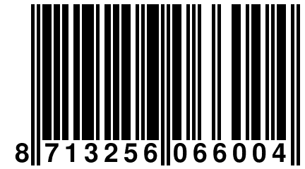 8 713256 066004