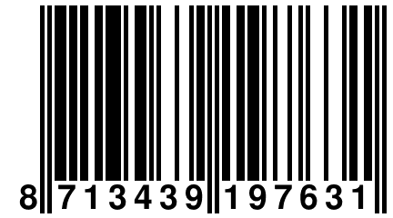 8 713439 197631