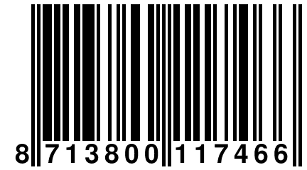 8 713800 117466