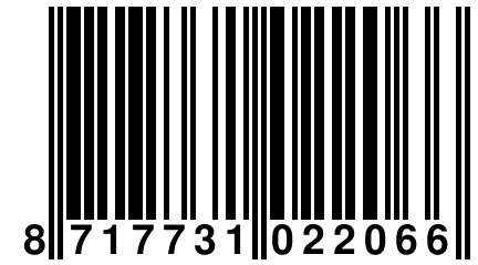 8 717731 022066