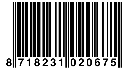 8 718231 020675