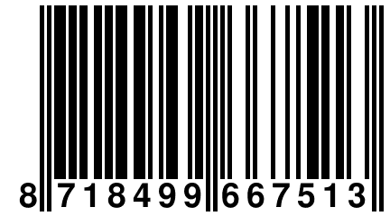 8 718499 667513