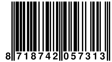 8 718742 057313