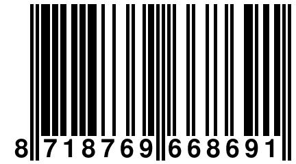 8 718769 668691