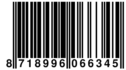 8 718996 066345