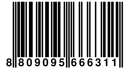 8 809095 666311