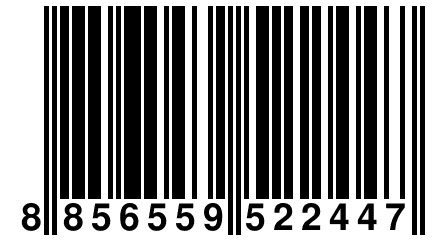 8 856559 522447