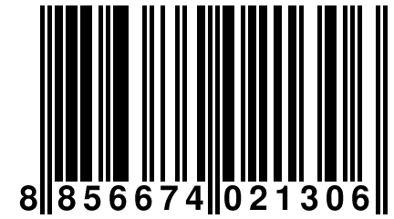 8 856674 021306