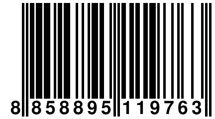 8 858895 119763