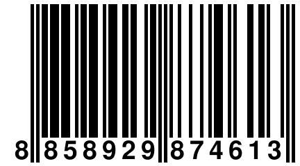 8 858929 874613