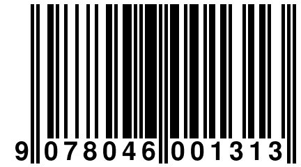 9 078046 001313