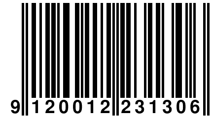 9 120012 231306