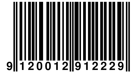 9 120012 912229