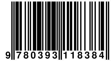 9 780393 118384