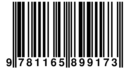 9 781165 899173