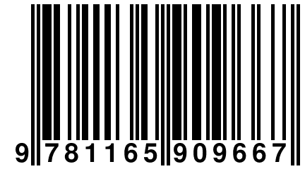 9 781165 909667