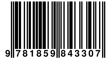 9 781859 843307