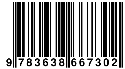 9 783638 667302