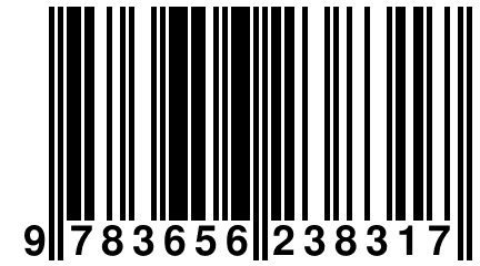 9 783656 238317