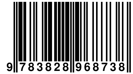 9 783828 968738