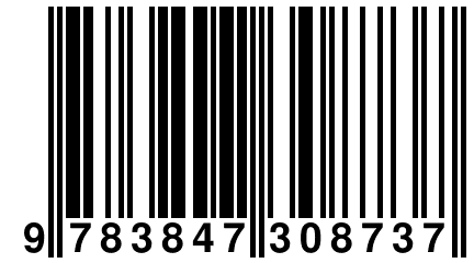 9 783847 308737