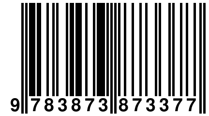 9 783873 873377