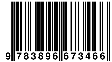 9 783896 673466